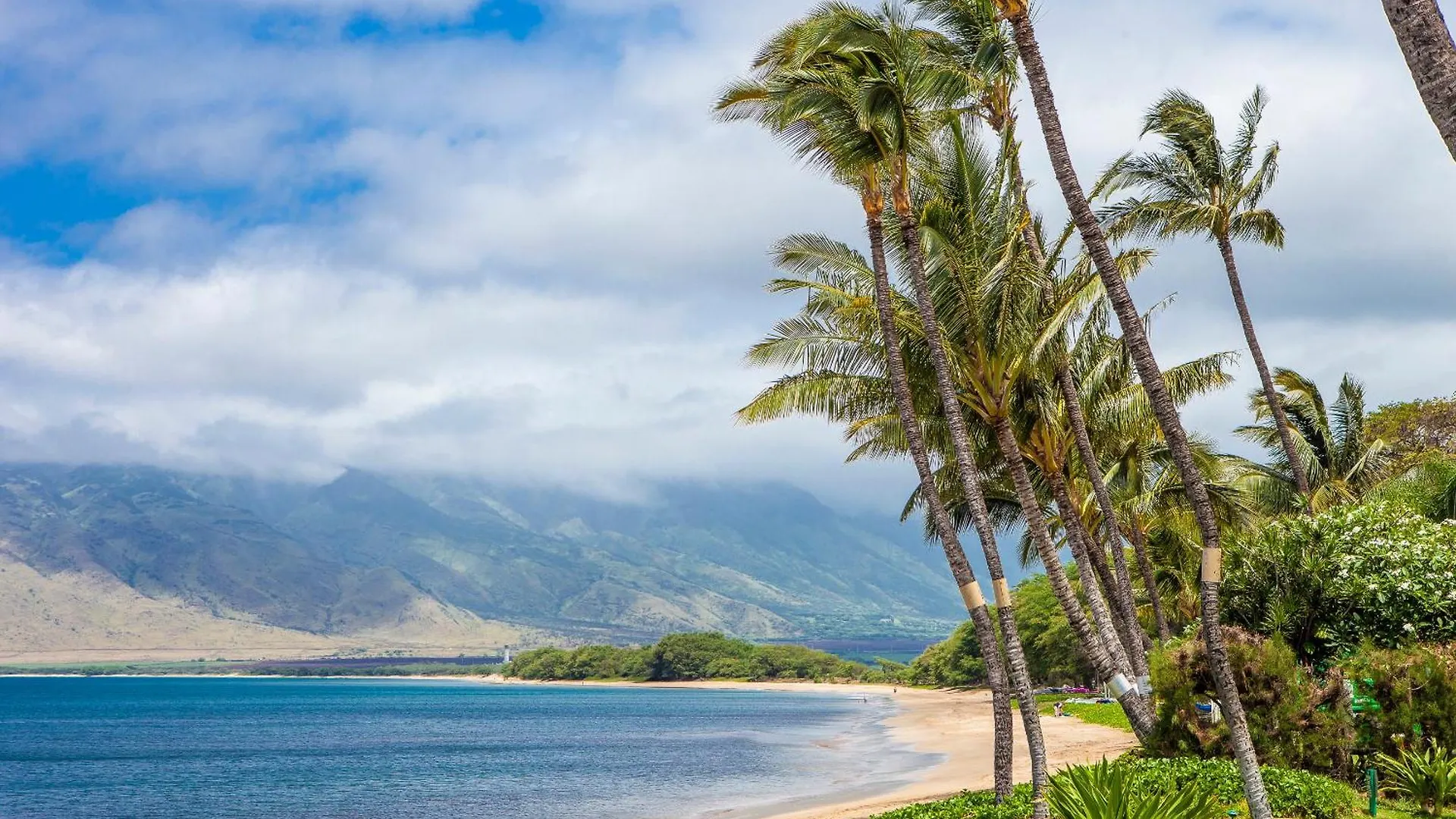 Sugar Beach 132 - Mch Kihei